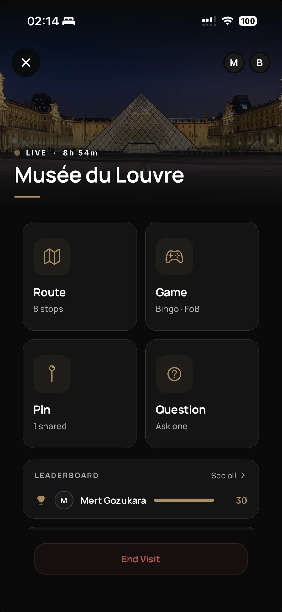 A live group visit at the Louvre